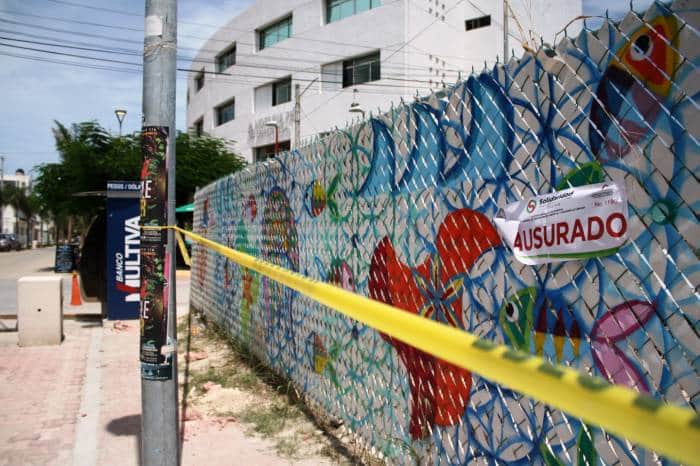 Clausuran obra en la Quinta Avenida por la tala de un árbol