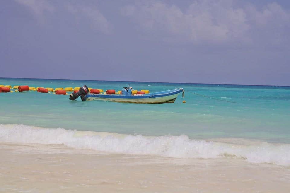 Cancún y Playa del Carmen; los destinos más buscados