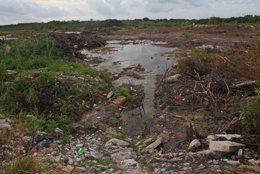 Solicitan intervención de la SCJN en Tajamar