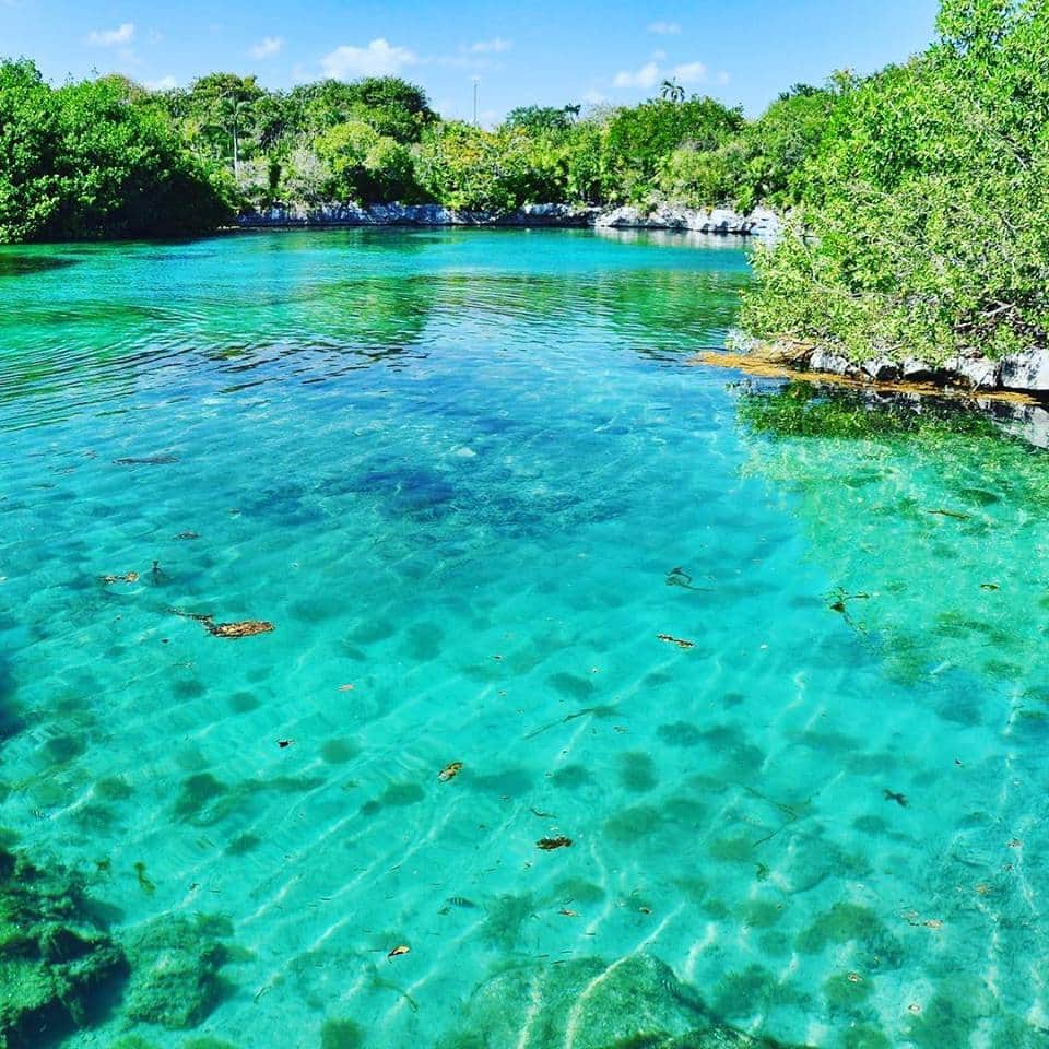 Invertirá Xel Ha 35 millones de pesos en nuevas atracciones