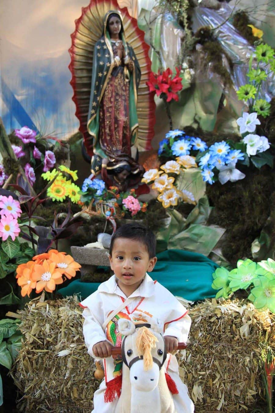 Implementa PROFECO operativo por Día de la Virgen de Guadalupe