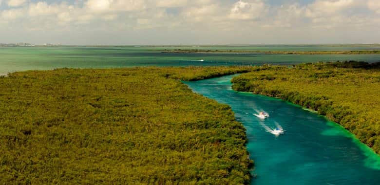 EPN hará el decreto para la creación de la Reserva de la Biósfera del Caribe Mexicano