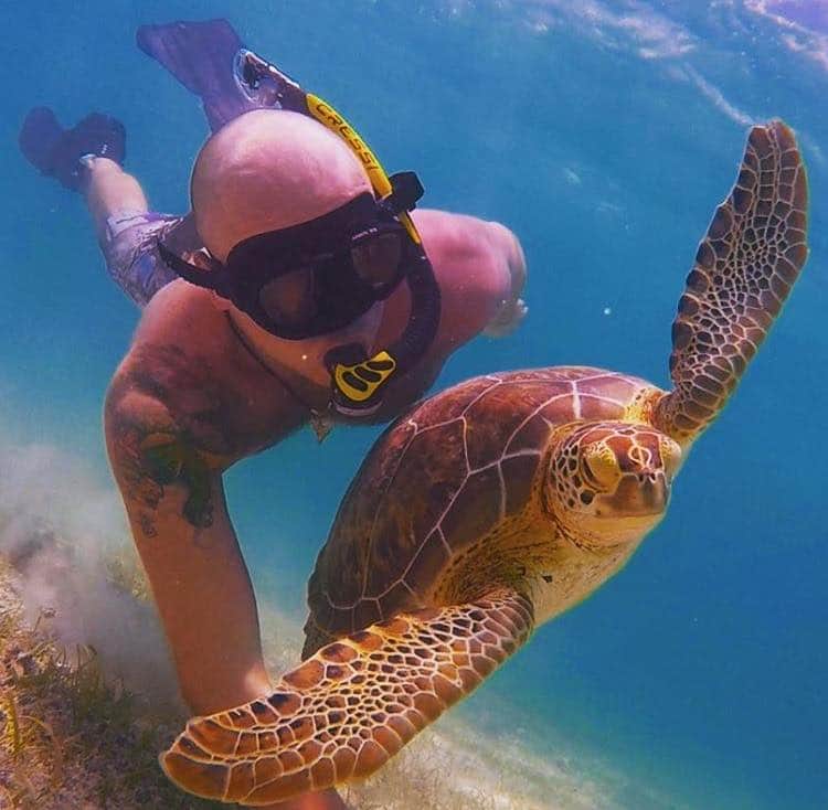 Refuerza el CEA monitoreo en la bahía de Akumal