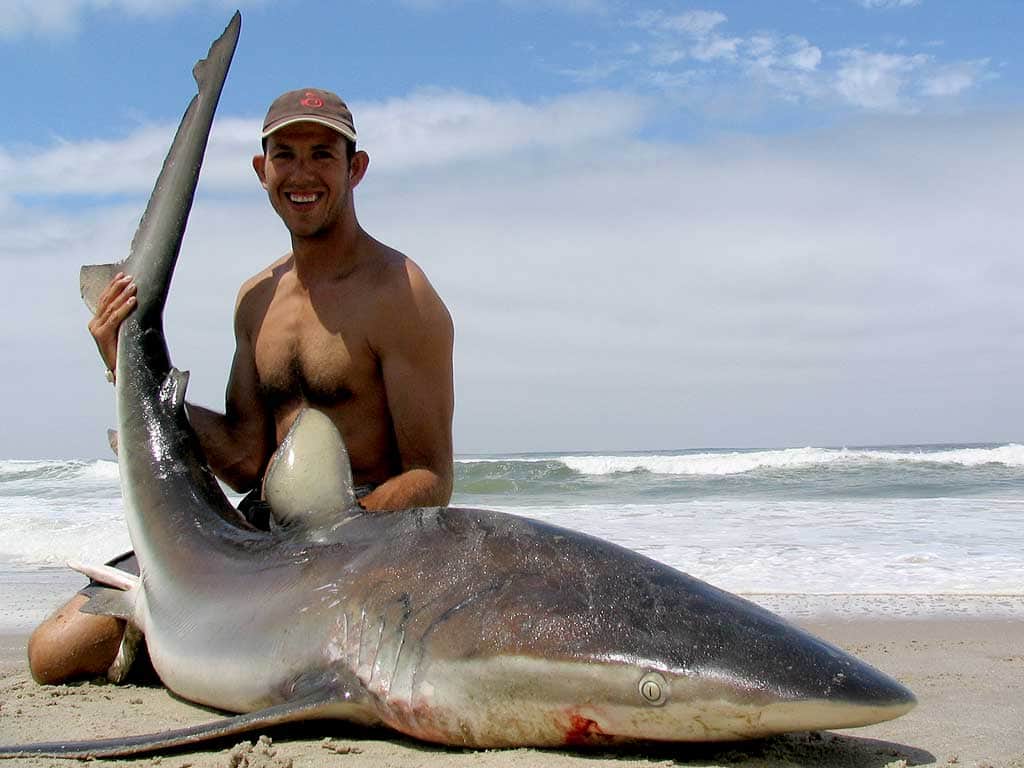 Aprueba Senado multas a pesca ilegal de tiburón