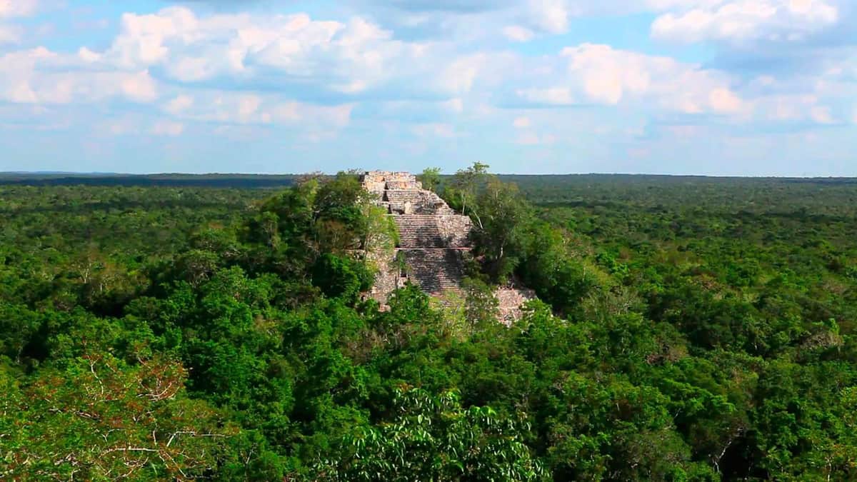 Buscan monitorear biodiversidad y cambio climático en la Selva Maya