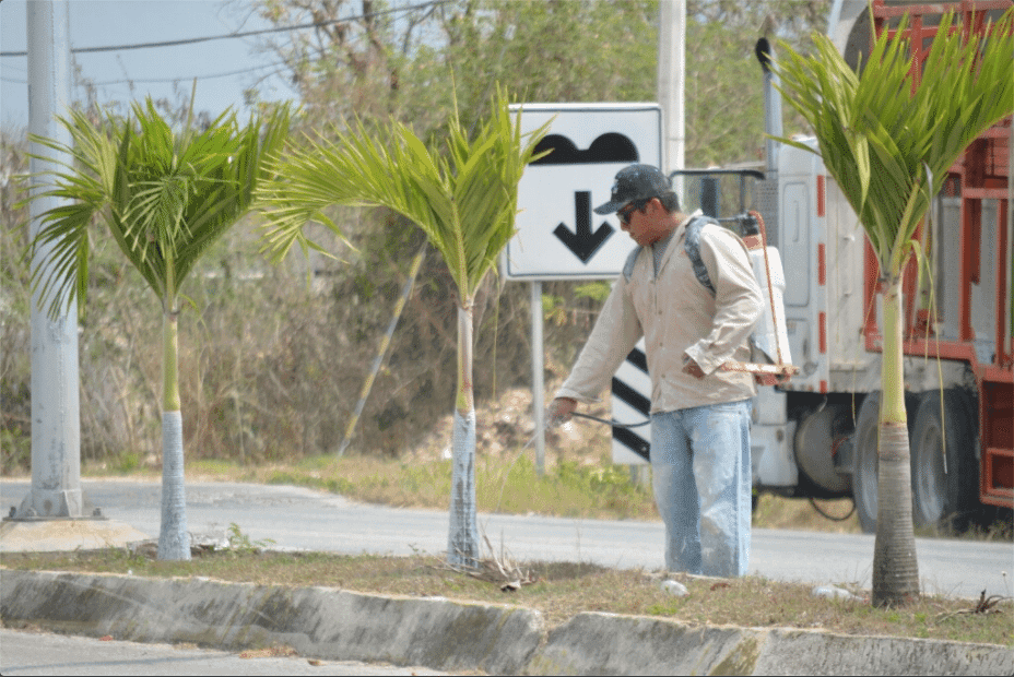 Continúan los trabajos para el cambio de imagen urbana en Felipe Carrillo Puerto