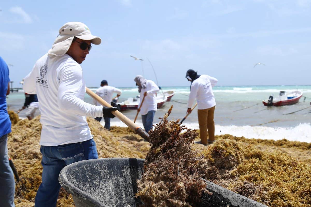 Redobla esfuerzos Gobierno de Solidaridad para el mantenimiento de playas