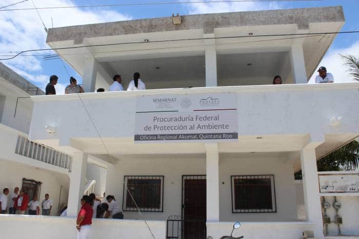 Clausura PROFEPA apertura de camino al Parque Nacional Tulum