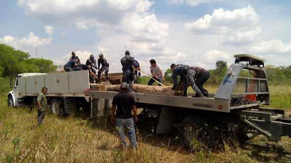 Primer golpe de la recién creada Misión Ambiental de la Gendarmería
