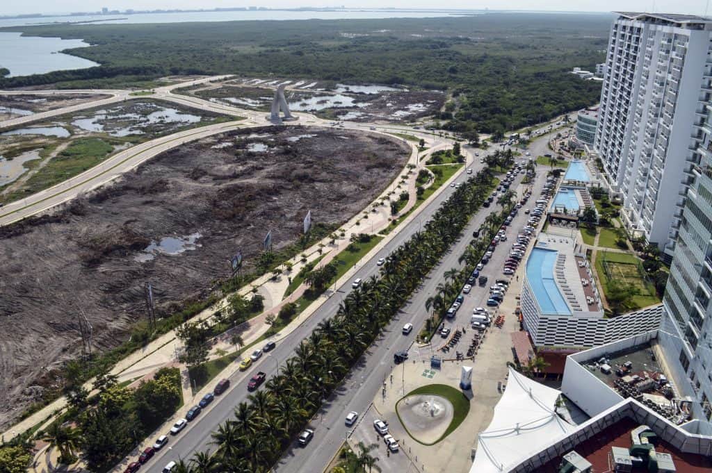 ¡Se salva Tajamar! Ordenan restituir los manglares en el Malecón