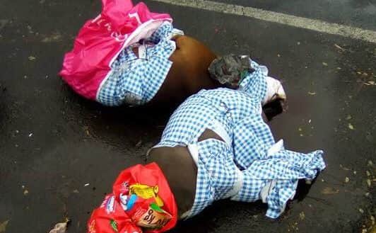 Encuentran pitbulls torturados en CDMX