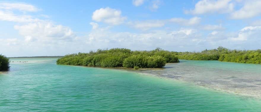 CONANP y Google lanzan colección especial de la Riviera Maya