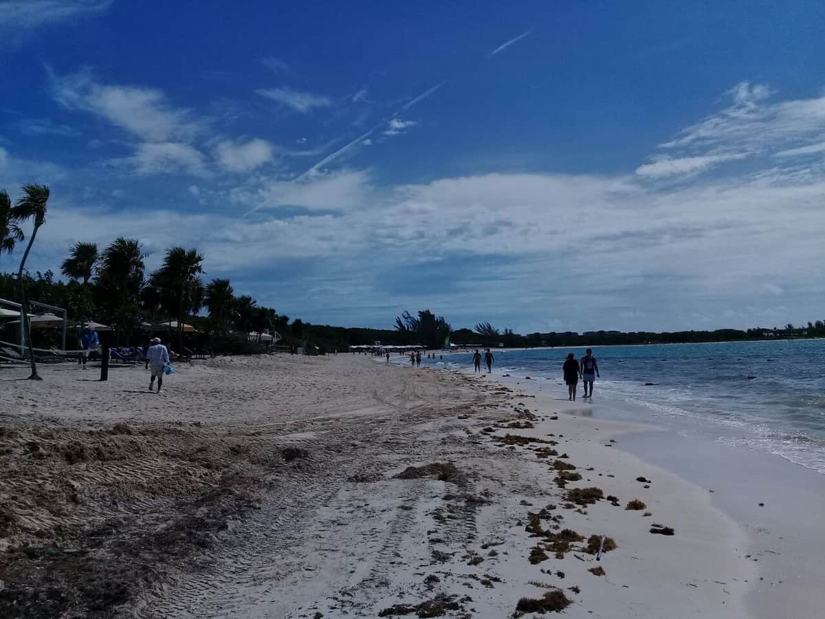 Autoridades locales también revisarán proyecto de recuperación de playas del Paradisus