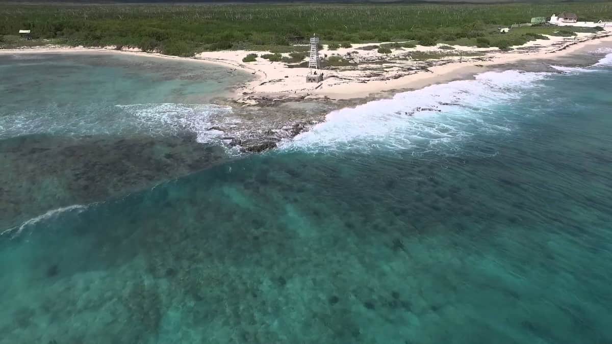 Confirma Carlos Joaquín irregularidades en Punta Brava