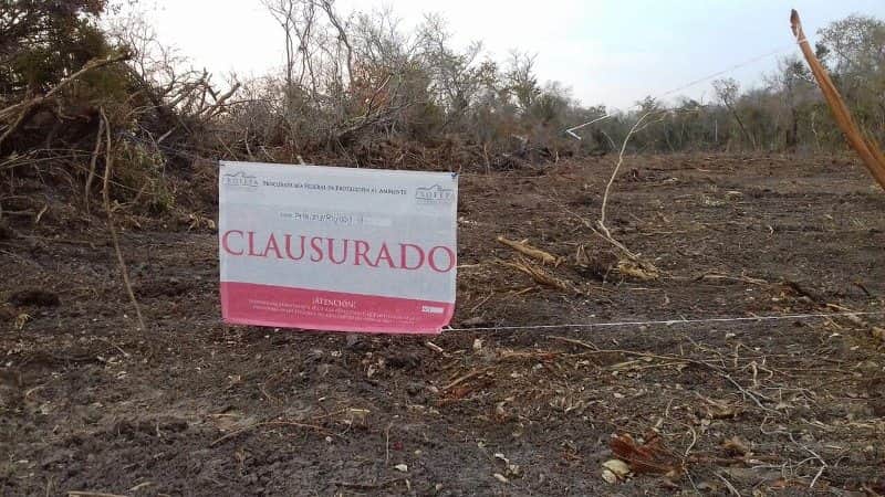 PROFEPA va sobre menonitas por afectaciones ambientales