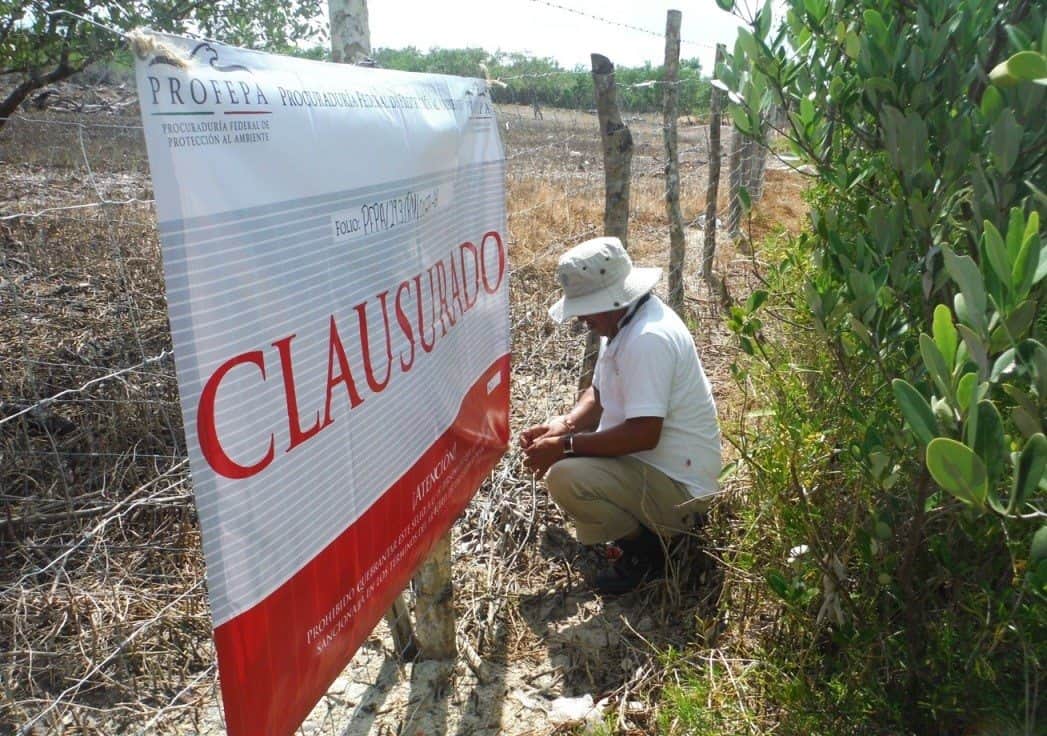 Reporta PROFEPA 937 acciones en lo que va del año, en Akumal y Holbox