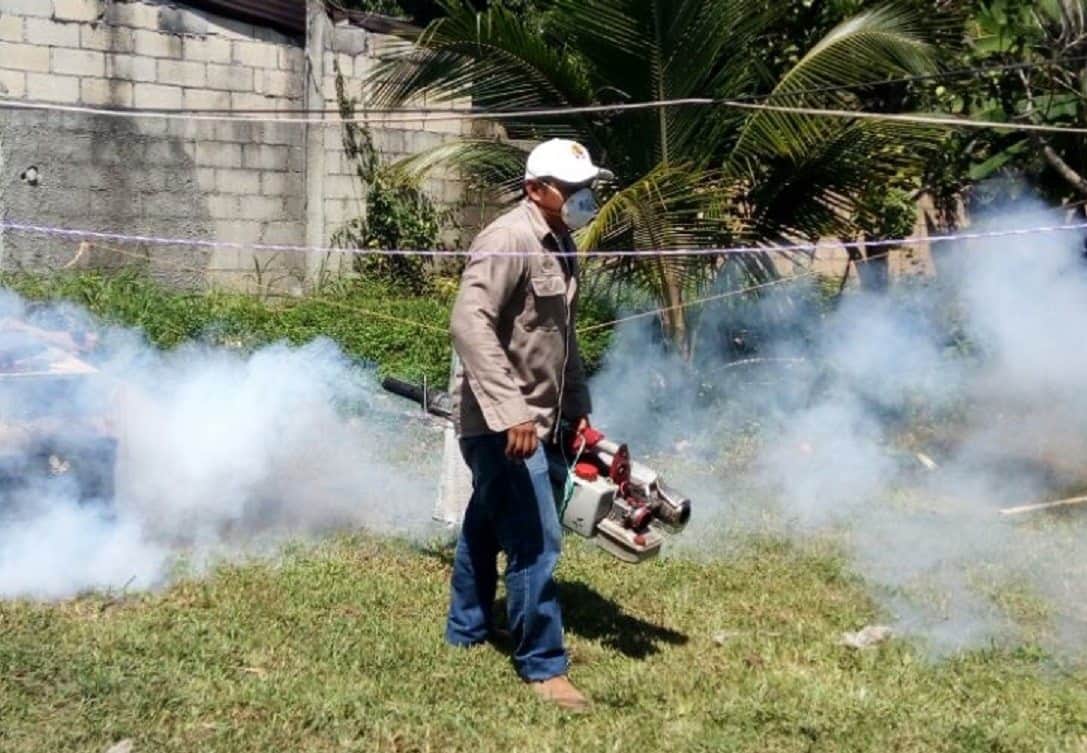 Nebulizan colonias para eliminar mosco transmisor del dengue, zika y chikungunya