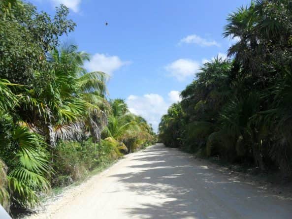 Acuerdan crear un Fideicomiso para la construcción de camino a Punta Allen