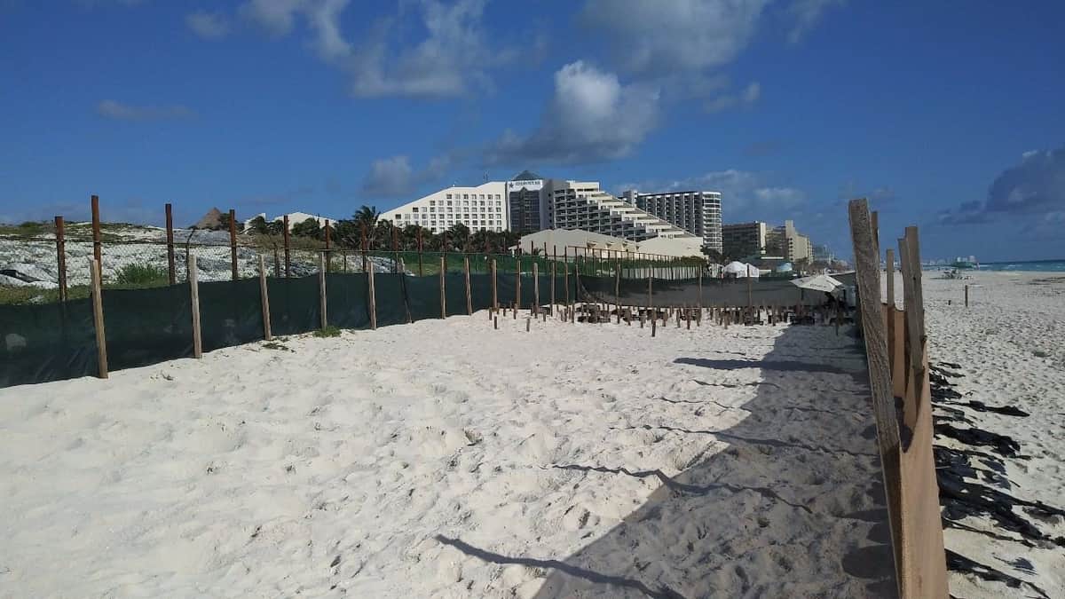 Constructora rellena cenote durante obra en Playa del Carmen