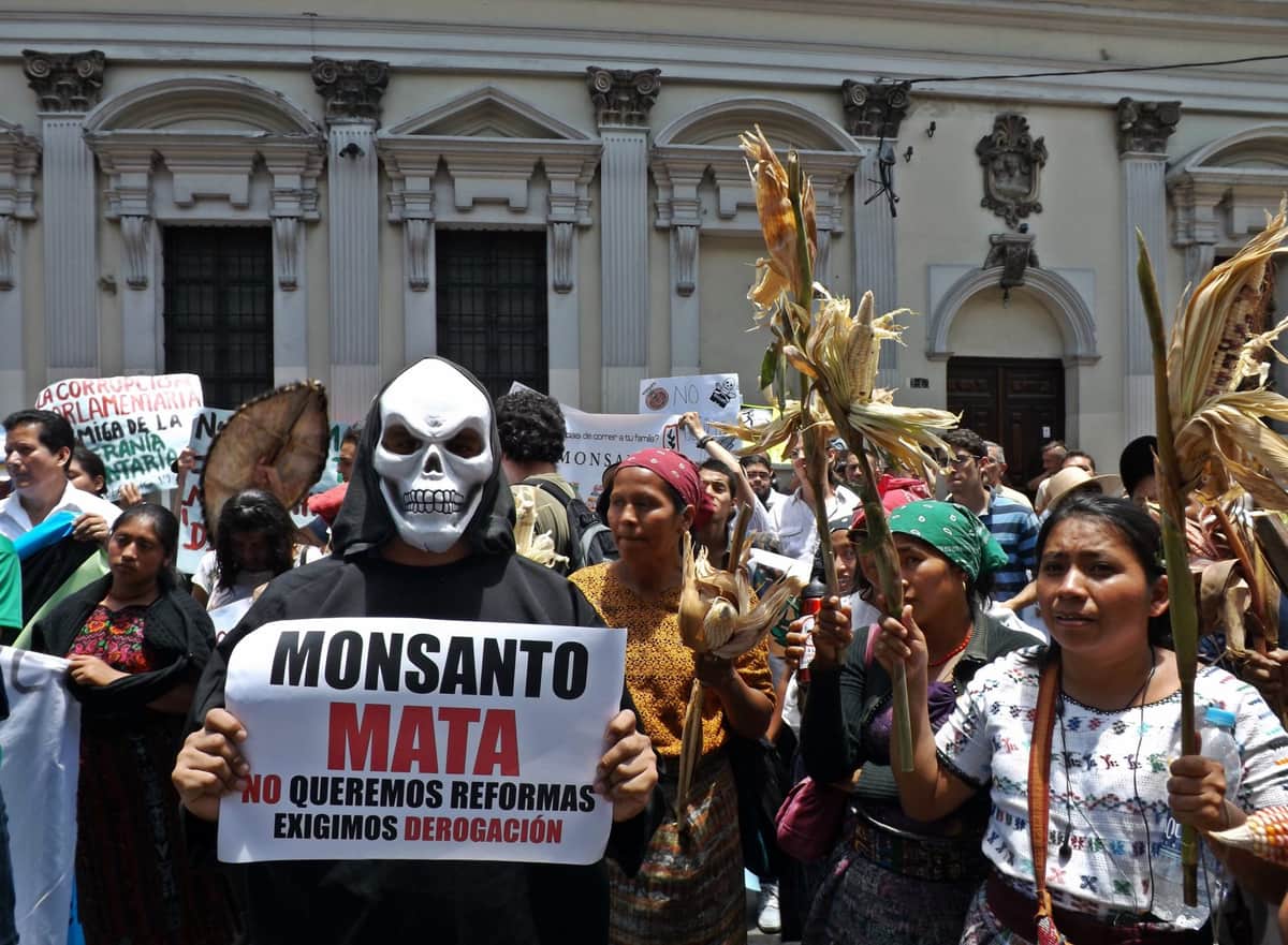 Histórico Dictamen de Senasica revoca permiso de soya transgénica a la multi-nacional Monsanto por fallas graves en bioseguridad