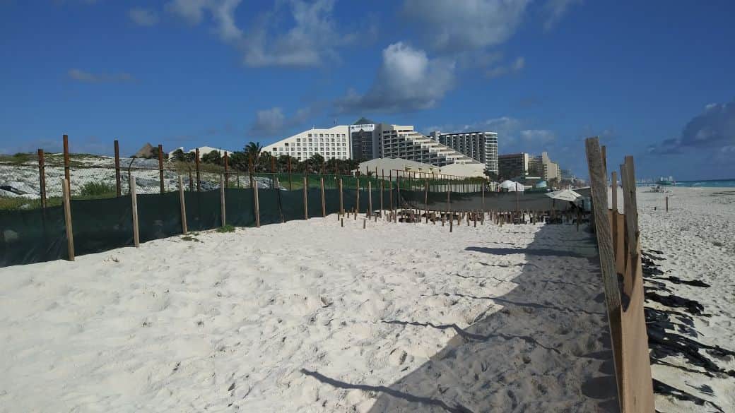 Empresarios avalan obra del Gran Solaris