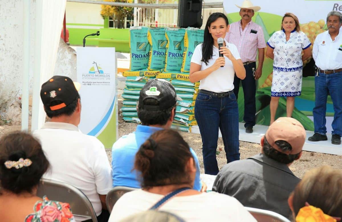Potencia gobierno de Puerto Morelos desarrollo del campo