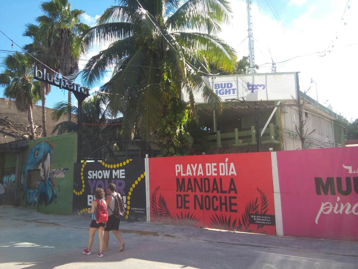 A casi un año de la balacera, Blue Parrot tiene permiso de demolición