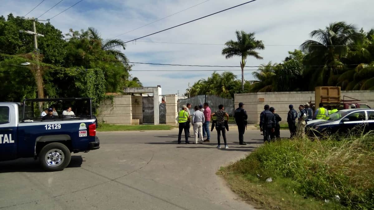 Buscan tigre fugado en Chetumal