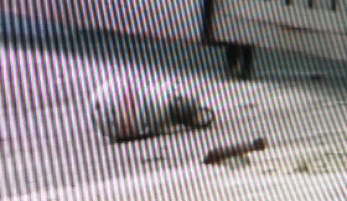 Encuentran granada sin explotar en domicilio de Cozumel