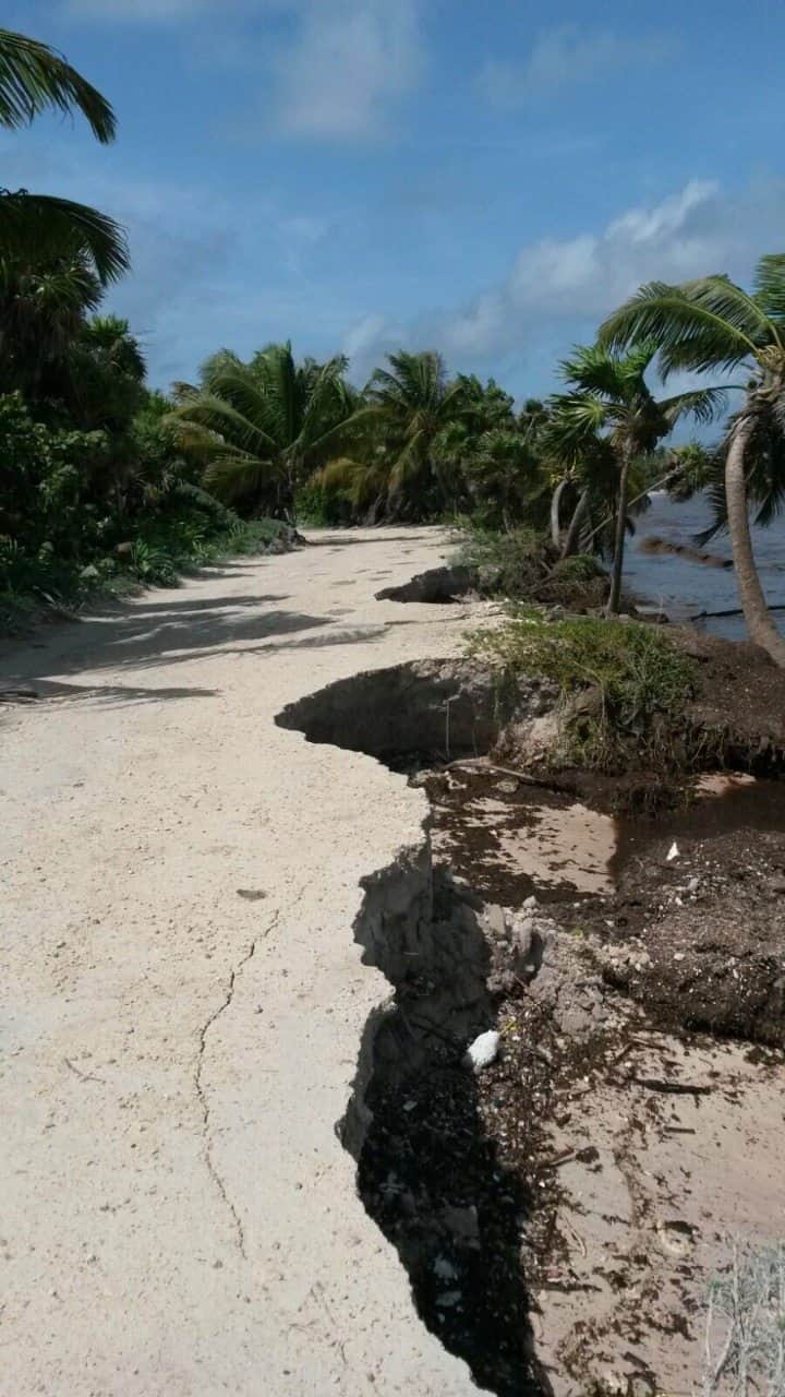 Ya arrancó reparación de camino a Punta Allen