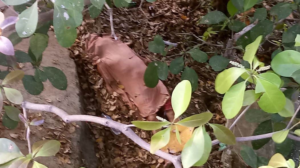 Muere turista electrocutado en Huay Pix