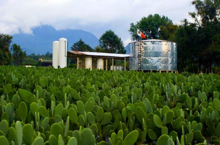 La primera estación de biogás en el mundo, está en México