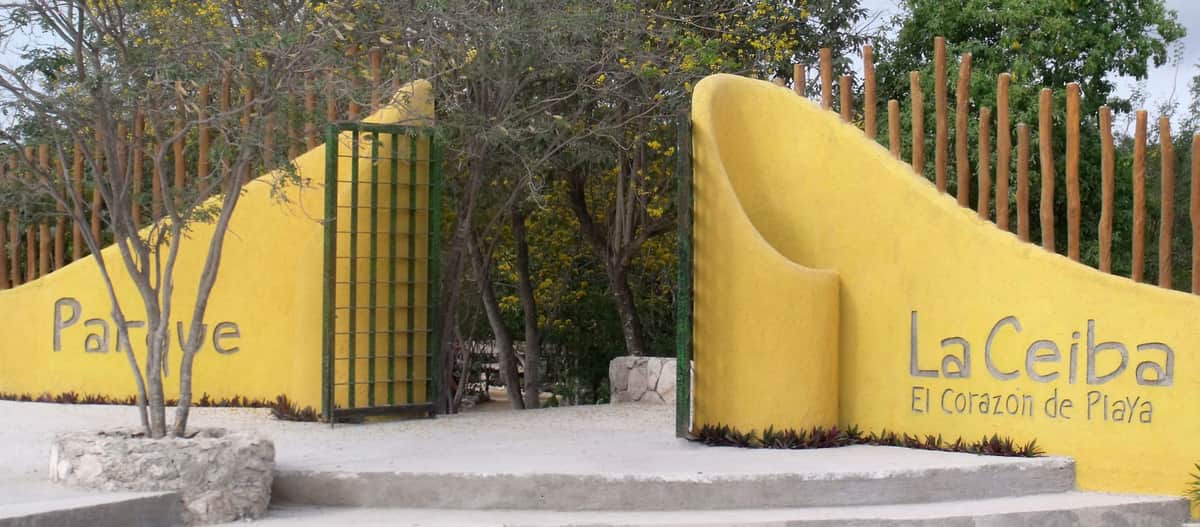 Celebra sus Primeros 15 Años Flora, Fauna y Cultura de México