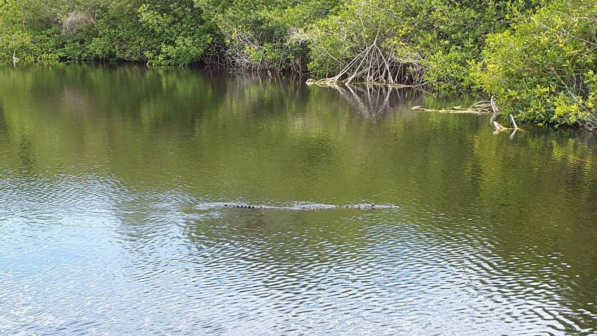 Alistan proyecto integral para Uxuxubí