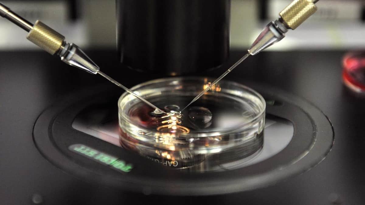 Descubre que su padre biológico es el doctor que inseminó a su madre