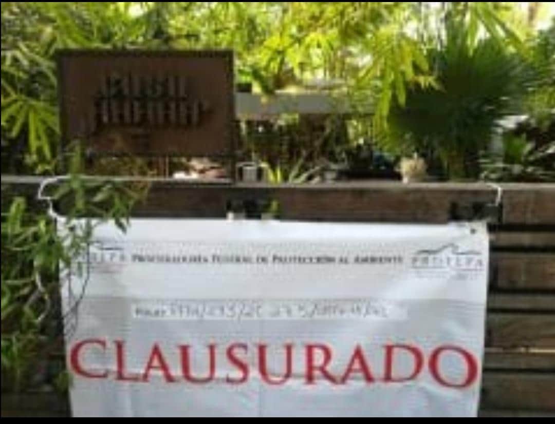 Frena Profepa cinco obras en Tulum