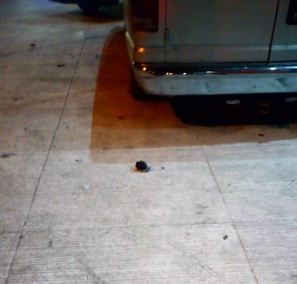 Dejan una granada cerca del Cereso de Cancún