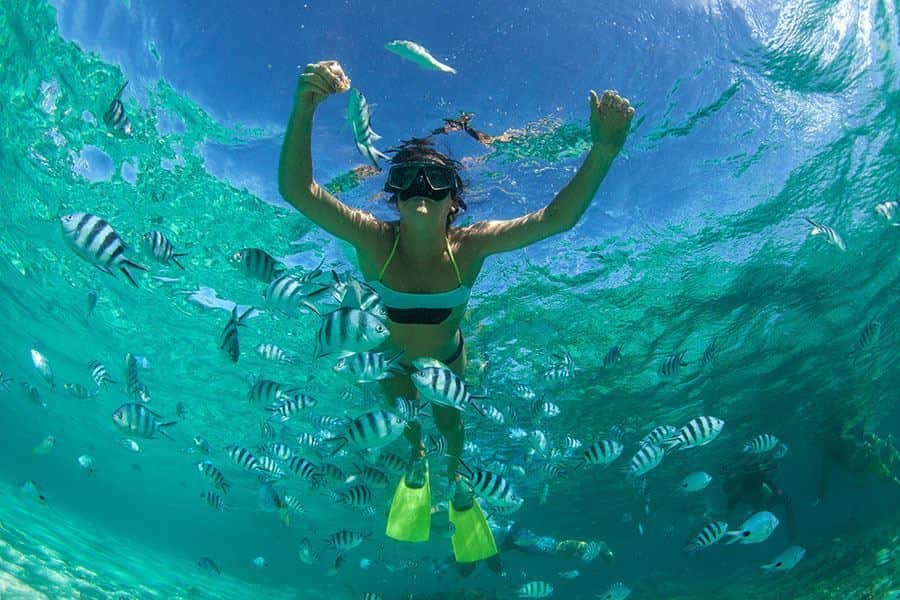 Vive un tour de Snorkel por las aguas del Caribe Mexicano