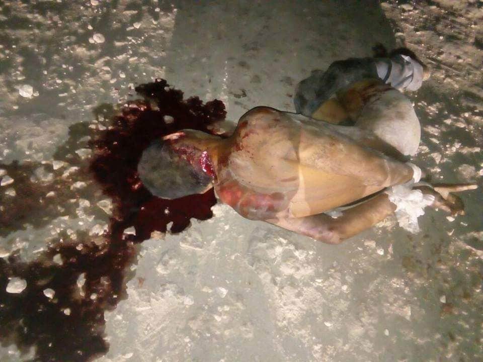 Linchan a un sujeto en Rivera del Río Hondo