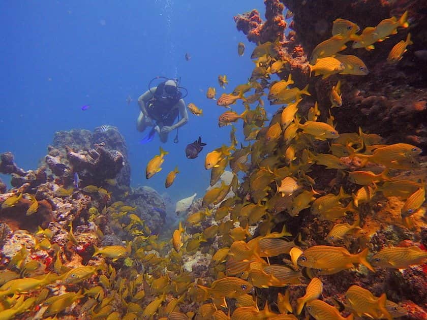 Tres increíbles lugares para bucear en Quintana Roo