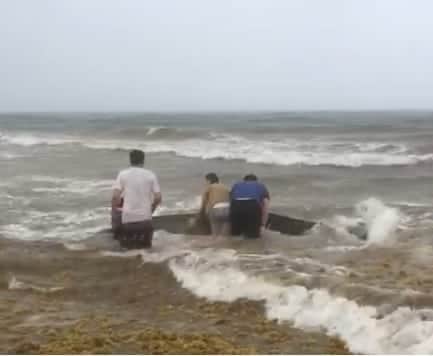 Liberan turistas a delfín varado en Playacar