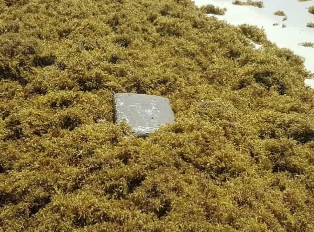 Recala paquete con droga a la Zona Hotelera