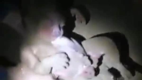 Entierran viva a una recién nacida y siete horas después la rescatan