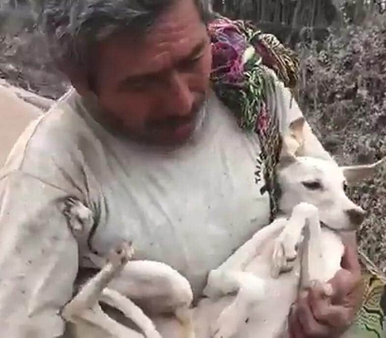 Fidelidad al máximo, hombre rescata a su perro entre las cenizas