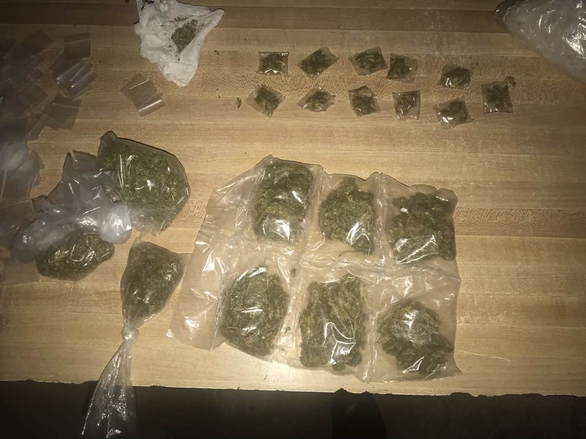 Aseguran presunta marihuana en Cereso de Cancún