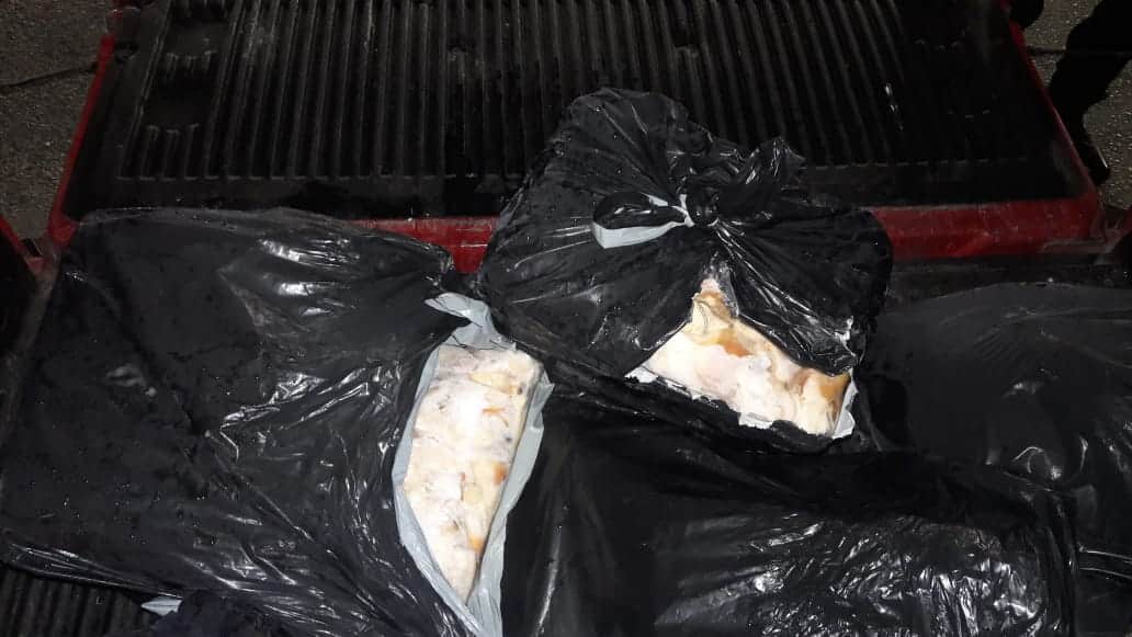 Vincula PGR a traficante de caracol rosado