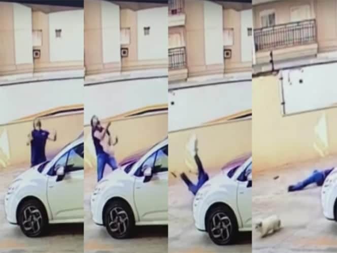 Hombre evita que perrita muera tras caer del noveno piso (Video)