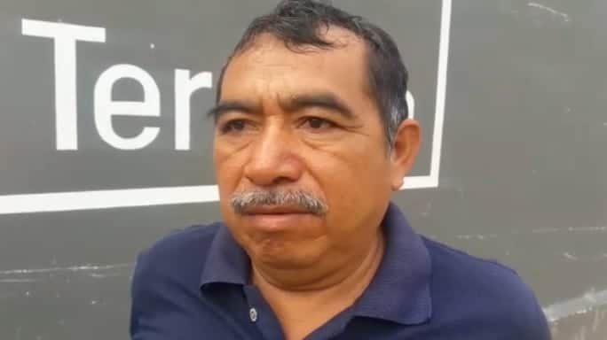 Apicultores exigen ley contra el uso de pesticidas