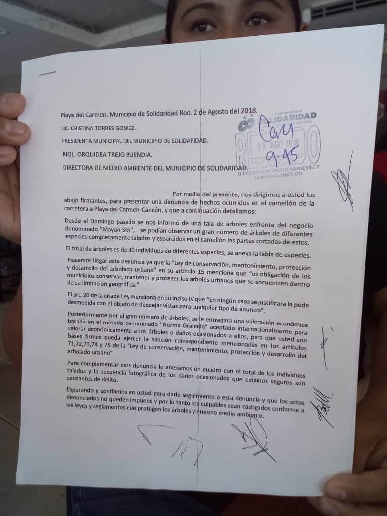 Interponen denuncia por tala de árboles en Solidaridad