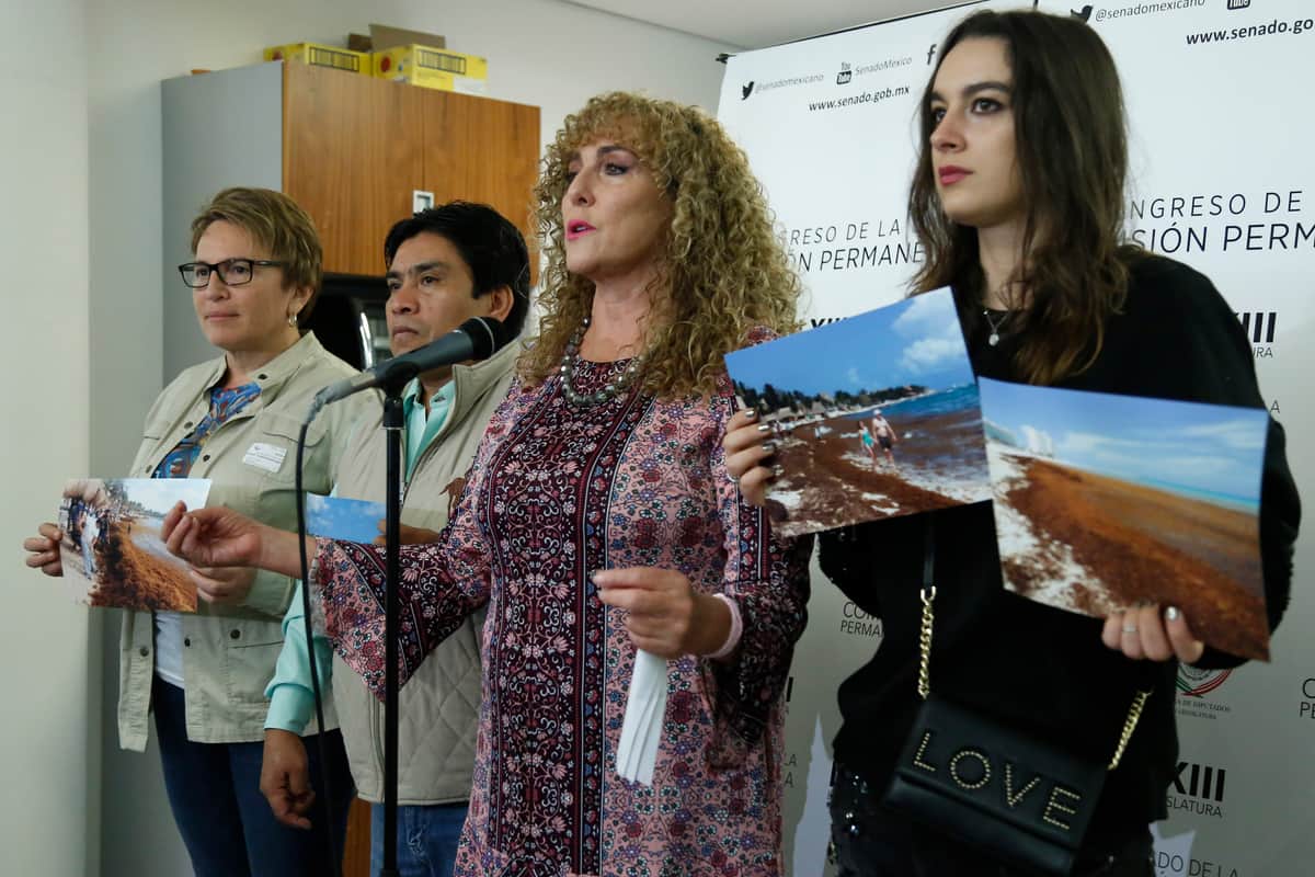 Buscan que AMLO priorice combate al sargazo